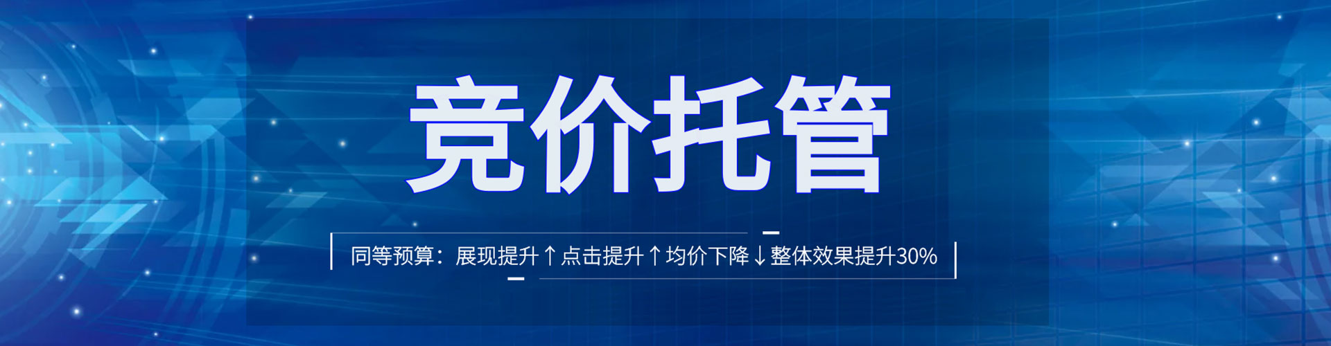 林甸sem外包